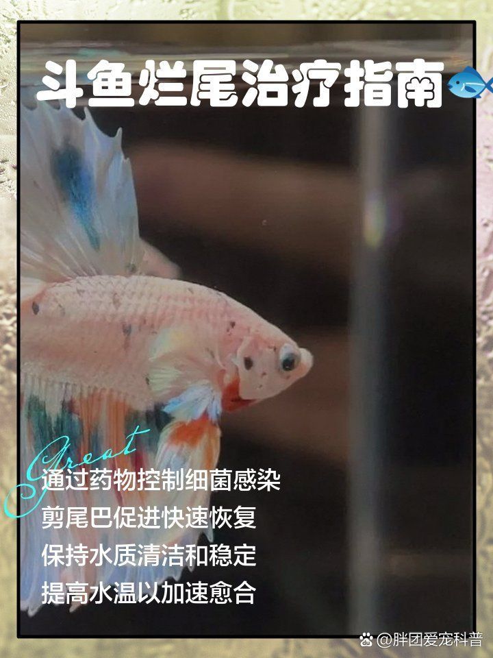 龍睛爛尾最怕三個東西