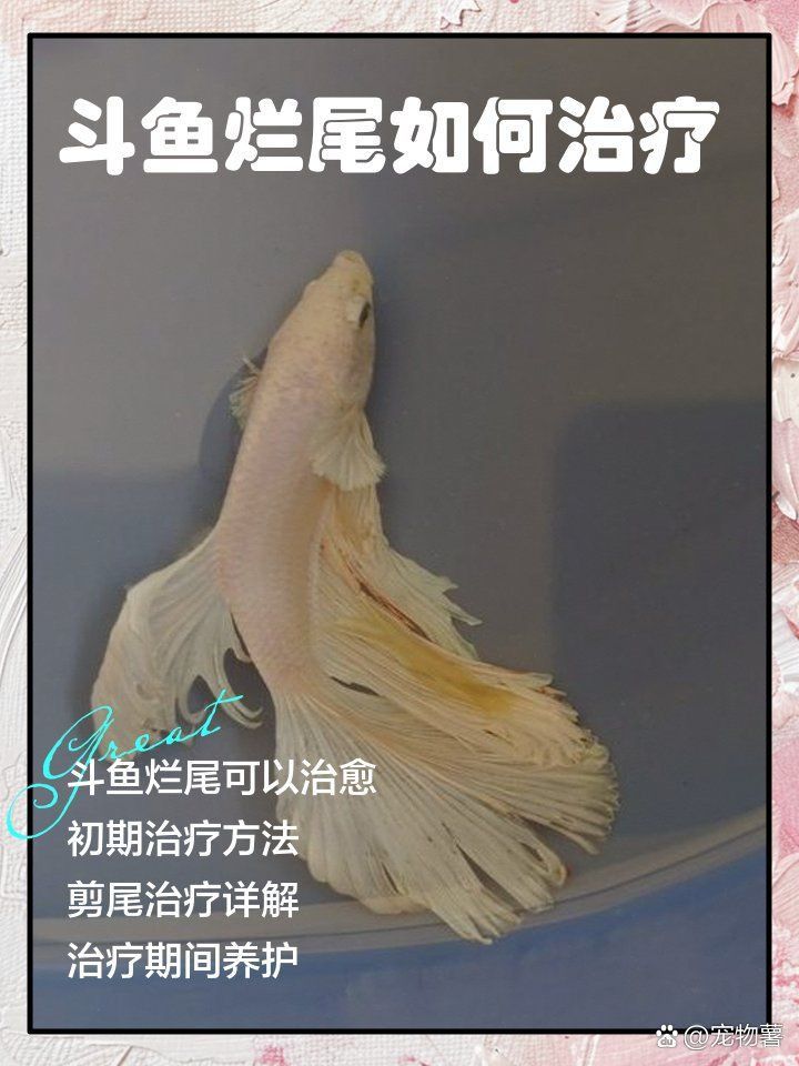 龍睛爛尾最怕三個東西
