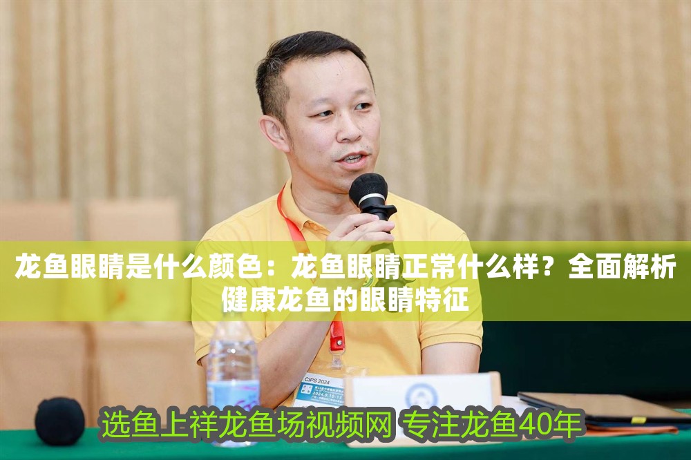 龍魚眼睛是什么顏色：龍魚眼睛正常什么樣？全面解析健康龍魚的眼睛特征