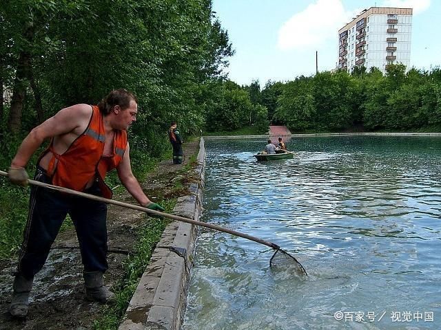 三間魚繁殖期光照管理策略：三間魚繁殖期光照對水質影響，三間魚繁殖期光照管理案例