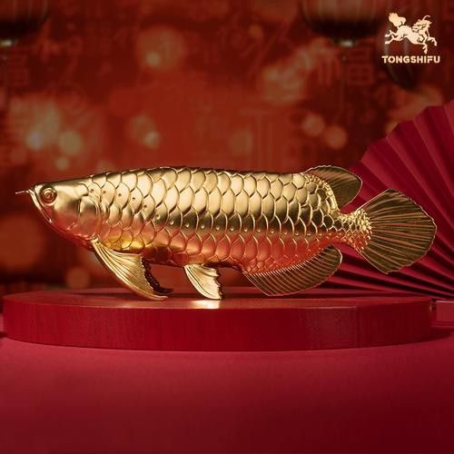 金龍魚吉祥物是什么
