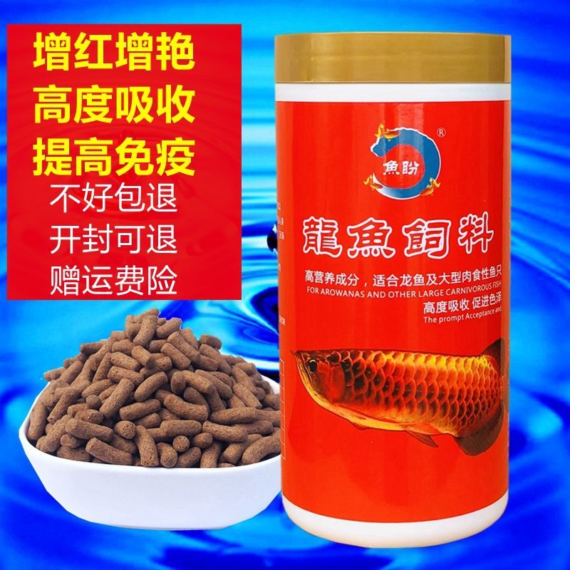 金龍魚喂飼料到底好不好（金龍魚喂飼料的詳細分析金龍魚喂飼料的詳細分析）