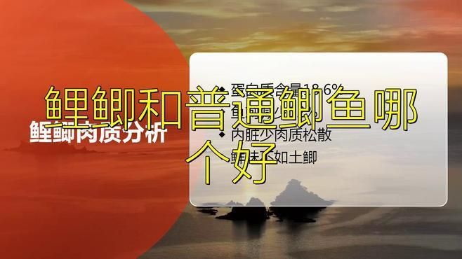 鯉魚與鯽魚有哪些區(qū)別