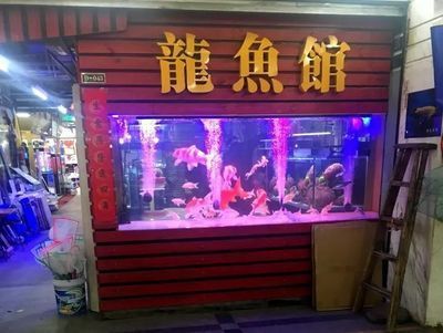 賣龍魚的店叫什么店鋪名稱：賣龍魚的店鋪名稱 賣龍魚的店叫什么店鋪名稱：賣龍魚的店鋪名稱 龍魚百科 第1張