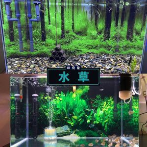 養(yǎng)龍魚可以養(yǎng)水草嗎：養(yǎng)龍魚是可以養(yǎng)水草的，但需要注意一些條件和方法