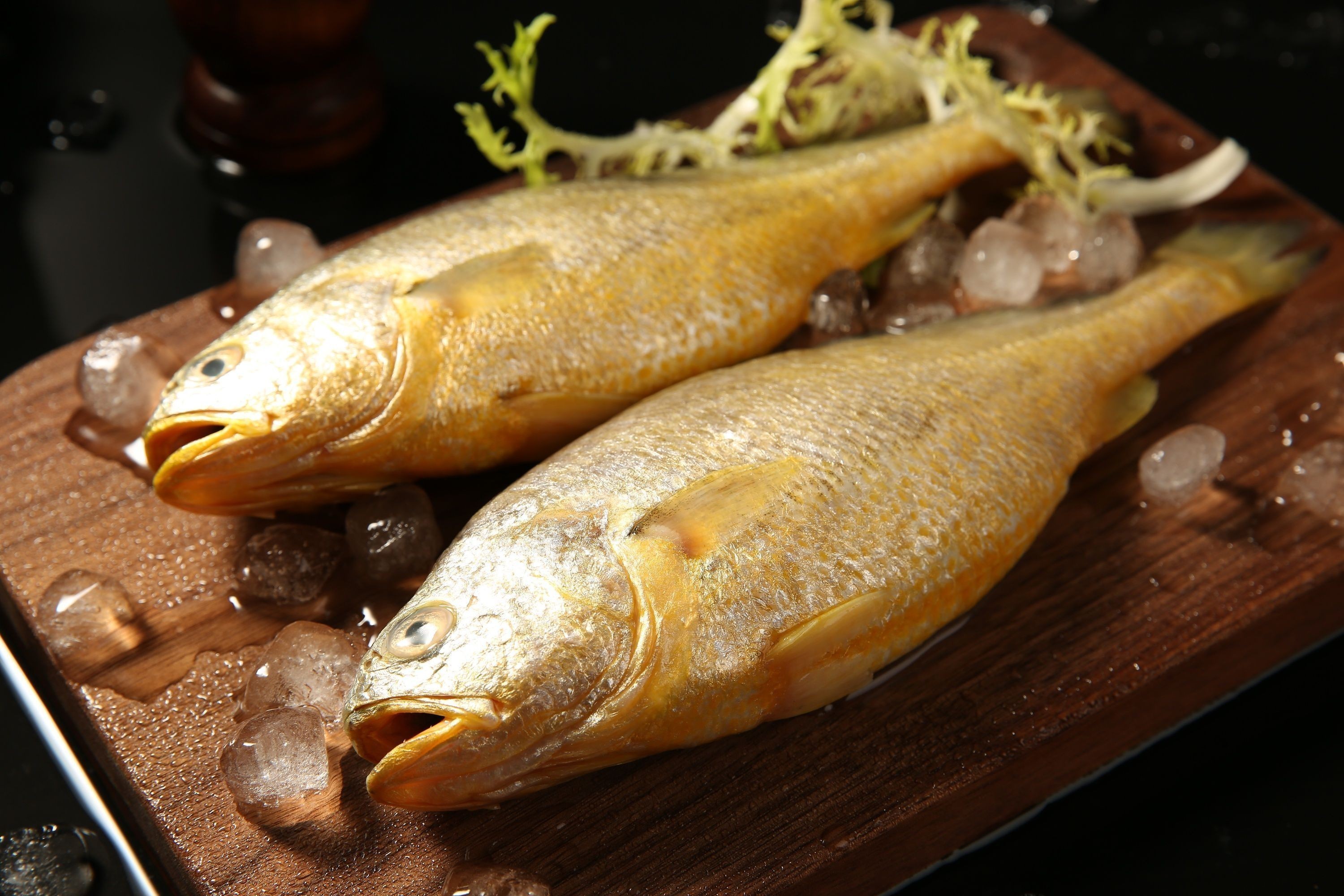 黃花魚跟金龍魚一樣嗎：黃花魚和金龍魚并不是同一種魚類，它們之間存在一些明顯的區(qū)別