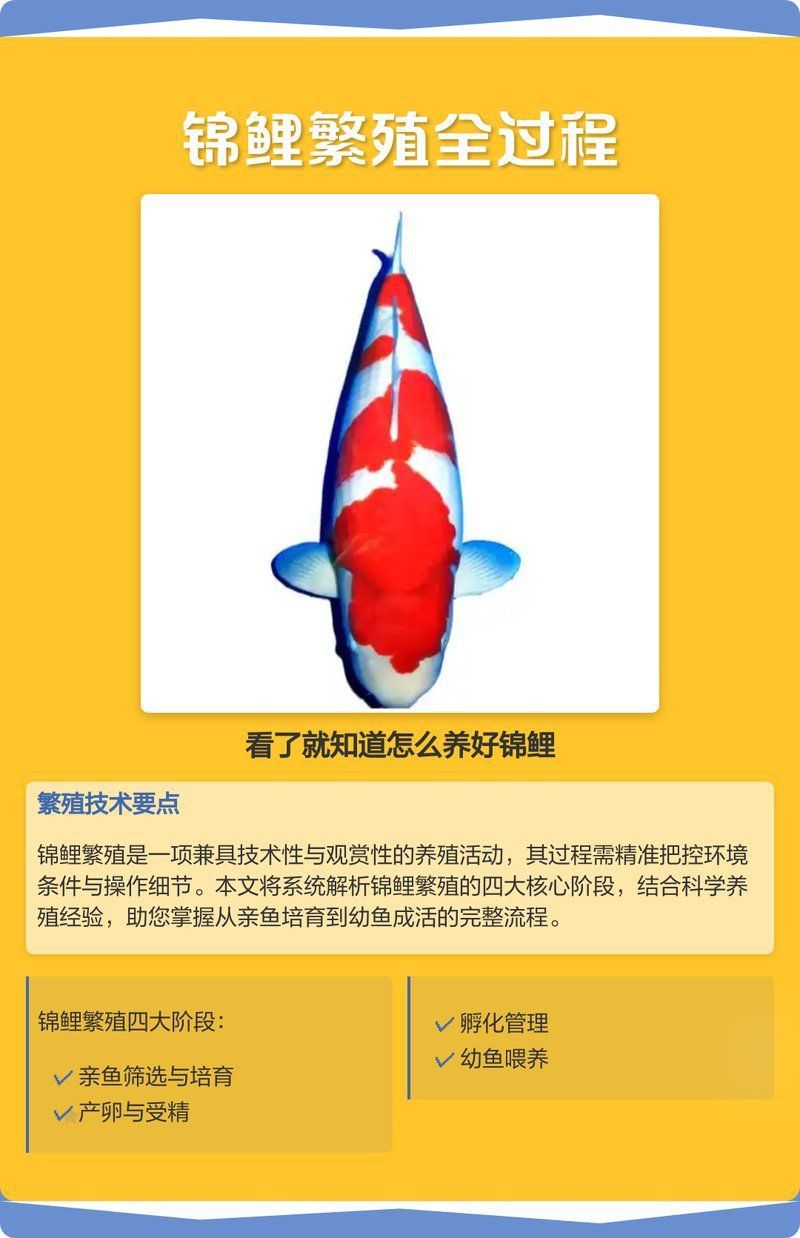 錦鯉甩籽后怎么處理魚缸
