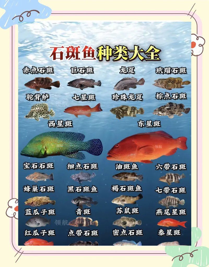藍點石斑魚