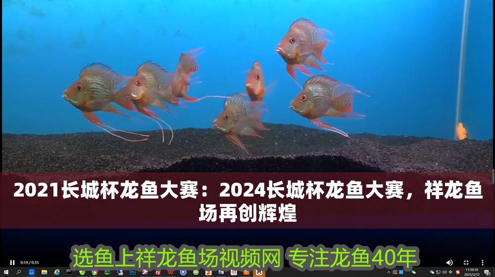 2021長(zhǎng)城杯龍魚(yú)大賽：2024長(zhǎng)城杯龍魚(yú)大賽，祥龍魚(yú)場(chǎng)再創(chuàng)輝煌