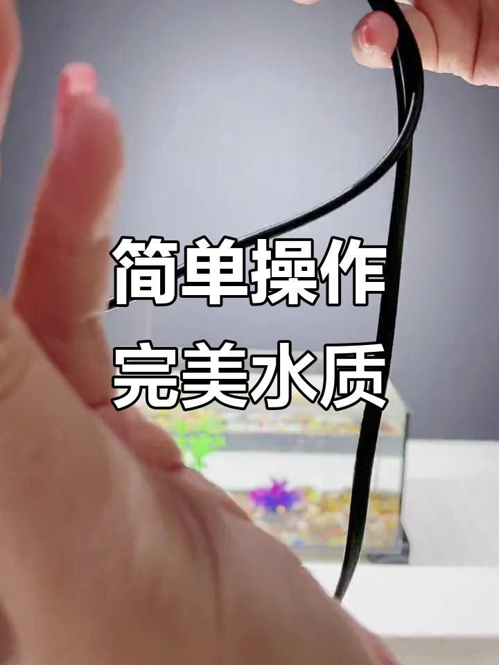 如何設(shè)置魚缸的照明？