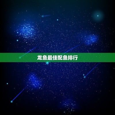什么龍魚最好養(yǎng)又好看（最好養(yǎng)又好看的龍魚品種）