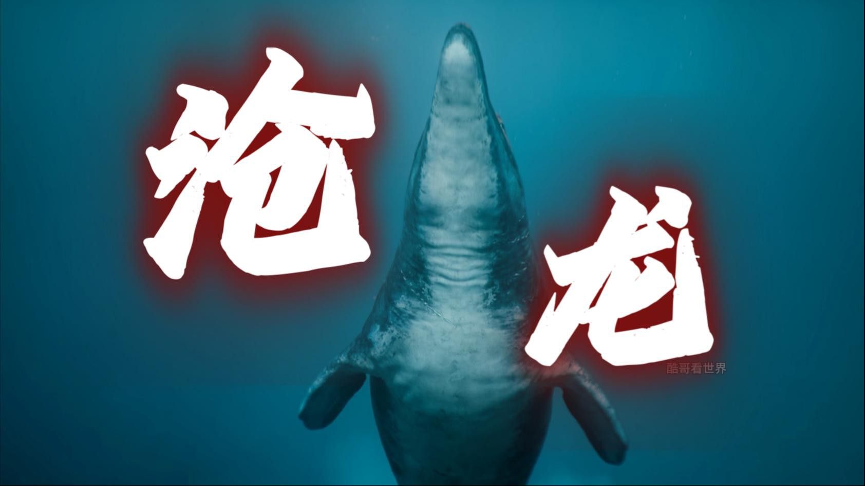 滄龍是如何捕食的？ 滄龍是如何捕食的？ 龍魚百科 第1張