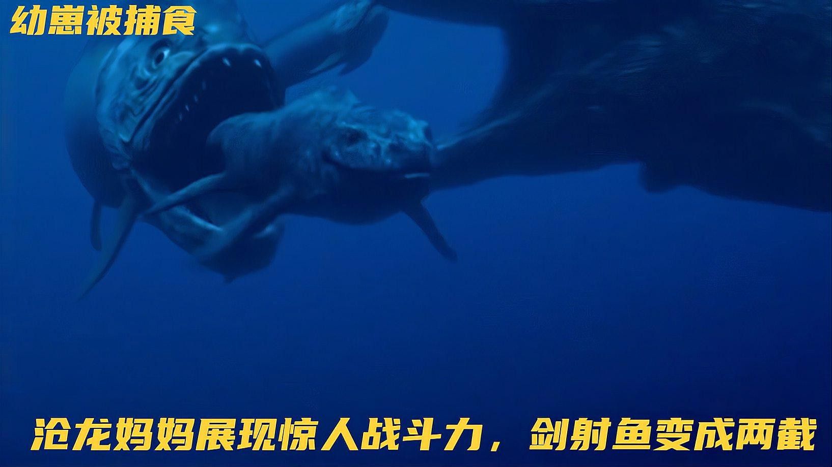 滄龍是如何捕食的？ 滄龍是如何捕食的？ 龍魚百科 第4張