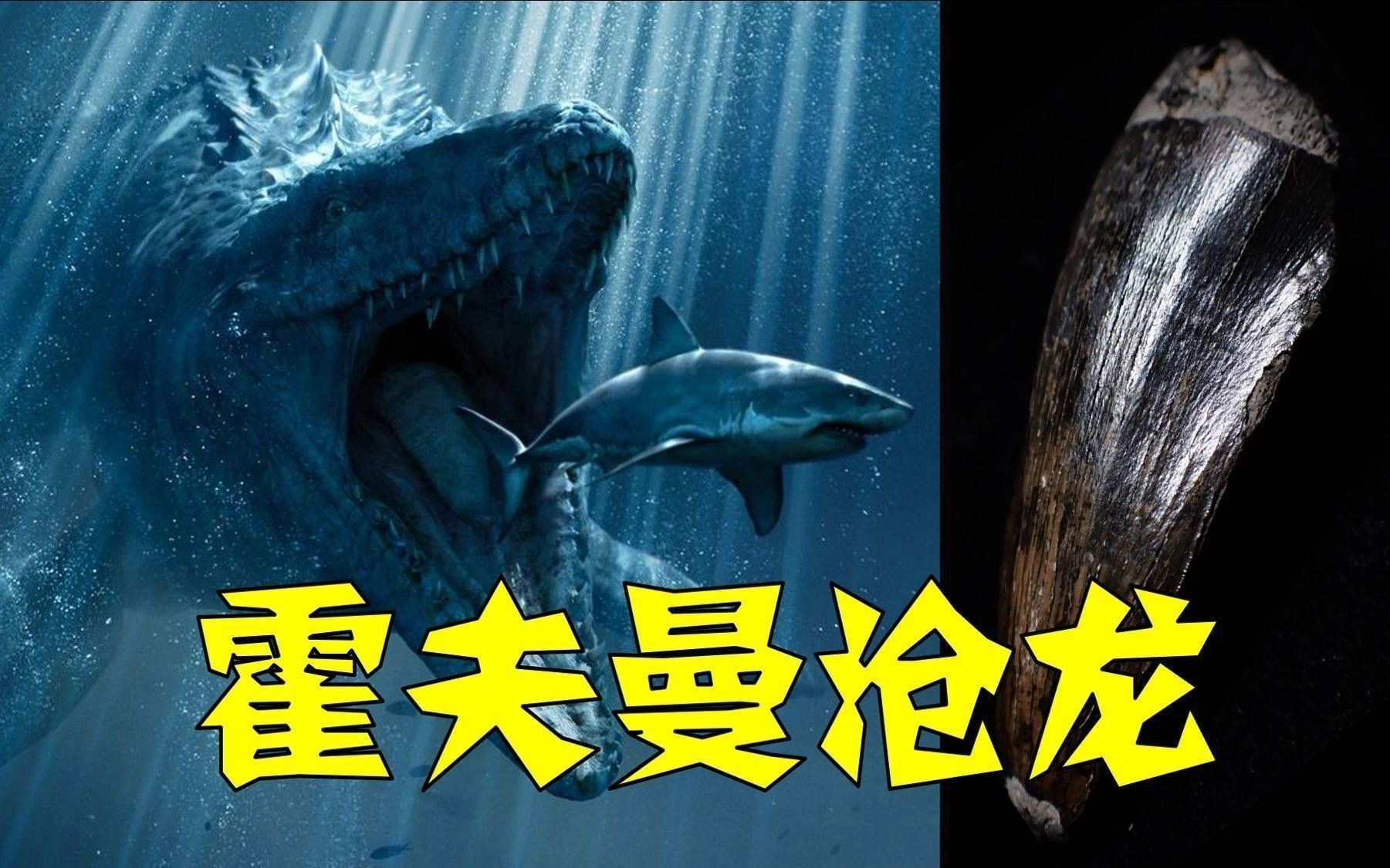 滄龍是如何捕食的？ 滄龍是如何捕食的？ 龍魚百科 第6張