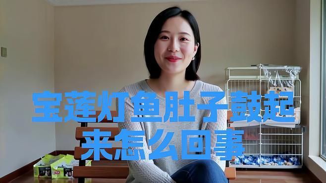 如何判斷魚肚子鼓脹是哪種原因？