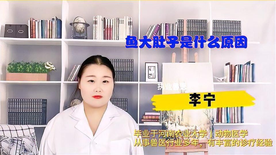 如何判斷魚肚子鼓脹是哪種原因？