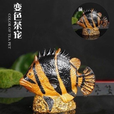 金龍魚(yú)變色的階段是什么樣的：關(guān)于金龍魚(yú)變色的問(wèn)題
