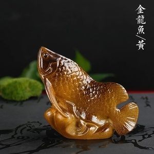 金龍魚變色的階段是什么樣的：關于金龍魚變色的問題
