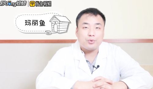 金龍魚的魚缸應該放什么魚清理魚缸（金龍魚日常飲食指南，） 金龍魚的魚缸應該放什么魚清理魚缸（金龍魚日常飲食指南，） 龍魚百科 第5張