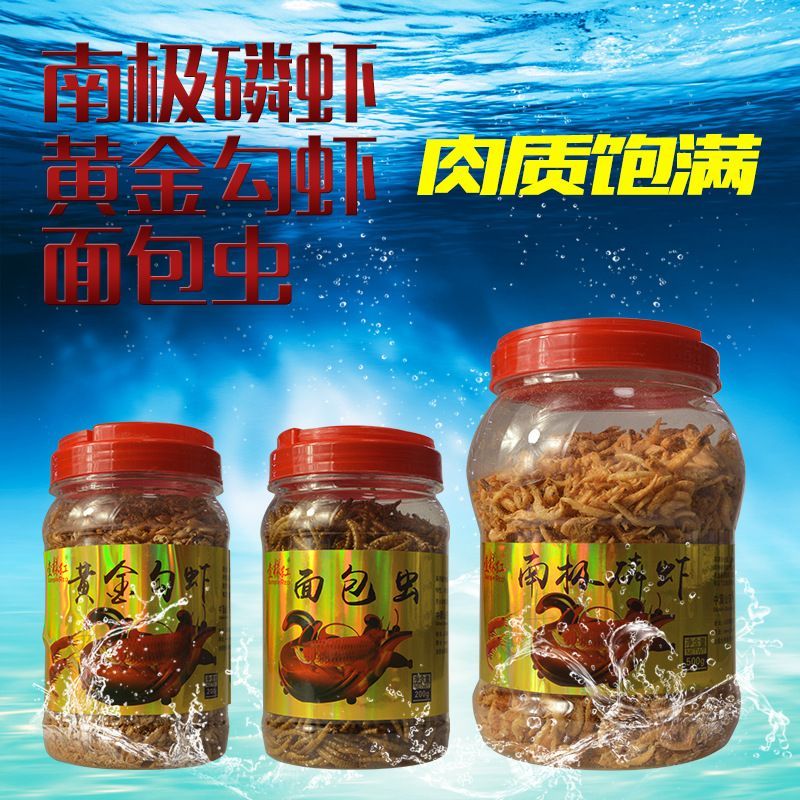 龍魚吃魚糧到底好不好呢怎么喂，龍魚可以吃魚糧嗎？