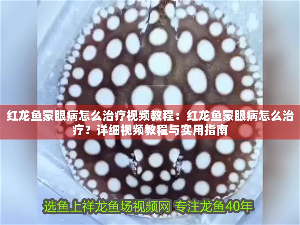 紅龍魚蒙眼病怎么治療視頻教程：紅龍魚蒙眼病怎么治療？詳細視頻教程與實用指南 紅龍魚蒙眼病怎么治療視頻教程：紅龍魚蒙眼病怎么治療？詳細視頻教程與實用指南 龍魚百科 第1張