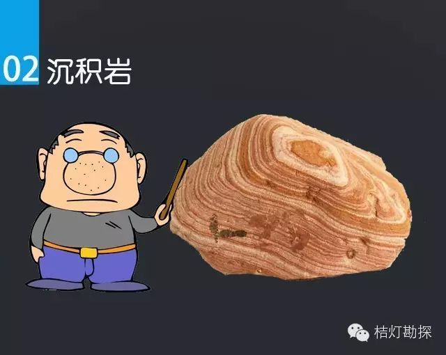 如何觀察鱗片亮區(qū)延伸范圍 如何觀察鱗片亮區(qū)延伸范圍 龍魚百科 第5張