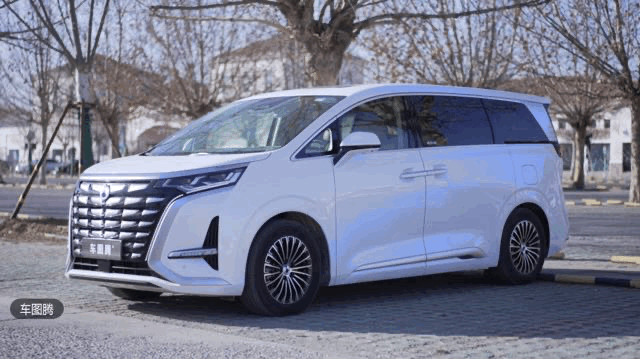 騰勢D9金龍魚壁紙高清版