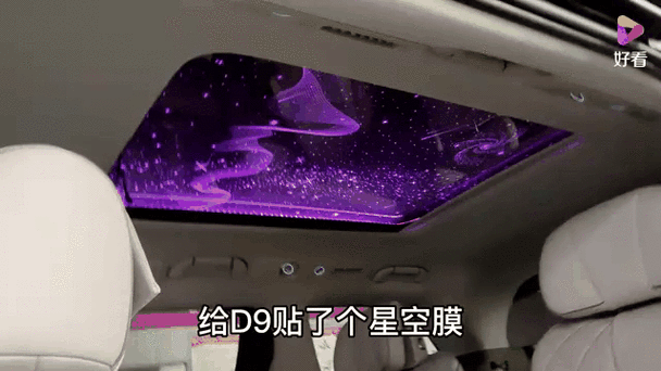 騰勢D9金龍魚壁紙高清版