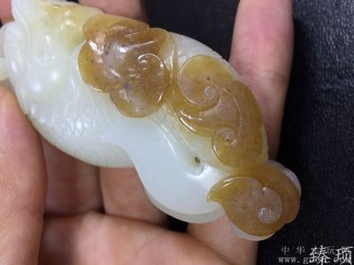 雕刻魚化龍寓意：翡翠魚化龍的寓意 雕刻魚化龍寓意：翡翠魚化龍的寓意 龍魚百科 第2張