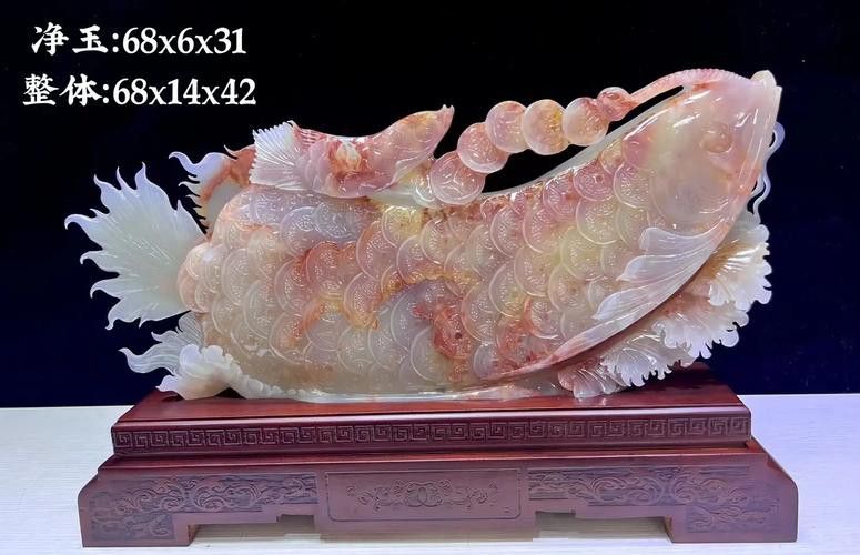中國本土有龍魚嗎圖片高清 中國本土有龍魚嗎圖片高清 龍魚百科 第12張