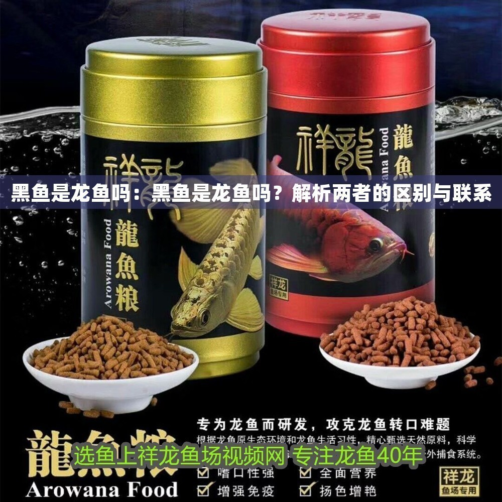 黑魚是龍魚嗎：黑魚是龍魚嗎？解析兩者的區別與聯系