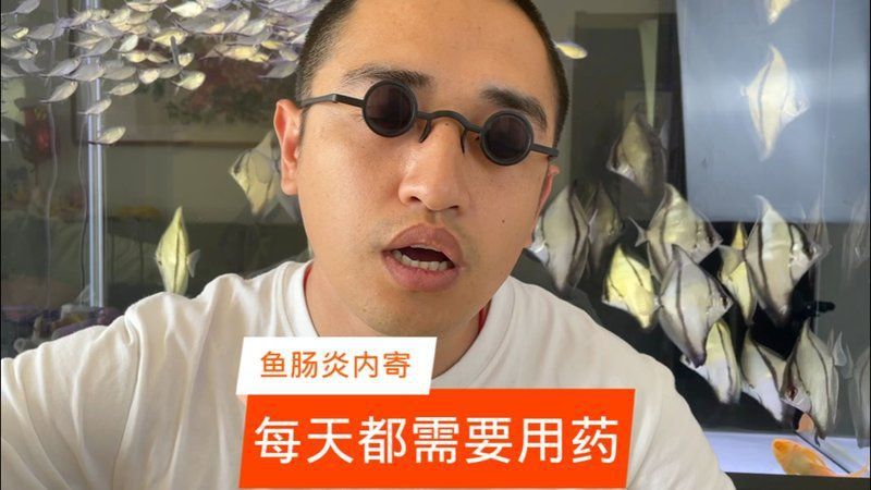 龍魚內寄治療期間需要停食嗎？ 龍魚內寄治療期間需要停食嗎？ 龍魚百科 第7張