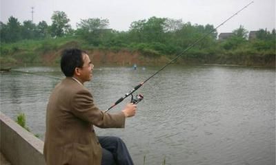 金龍魚多大才發色好一點：金龍魚多大才發色好？揭秘最佳發色階段與影響因素
