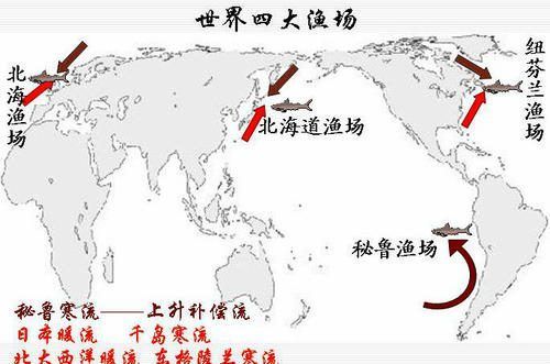紅龍魚四大漁場(chǎng)排名（紅龍魚四大漁場(chǎng)排名如何）