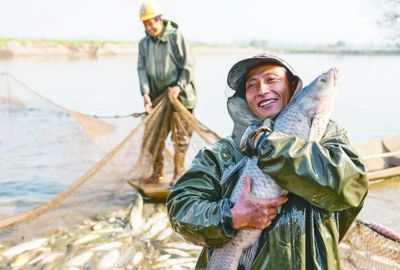 紅龍魚四大漁場(chǎng)排名（紅龍魚四大漁場(chǎng)排名如何）