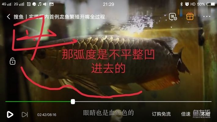 <strong><mark>成都</mark></strong>金龍魚港老板（<strong><mark>成都</mark></strong>金龍魚港具體負責人或老板是誰郭鶴年商業帝國布局分析）