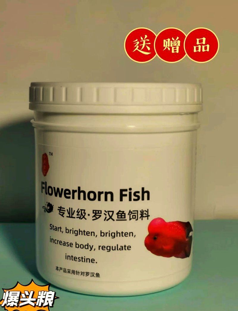 馬來西亞羅漢魚適合養嗎