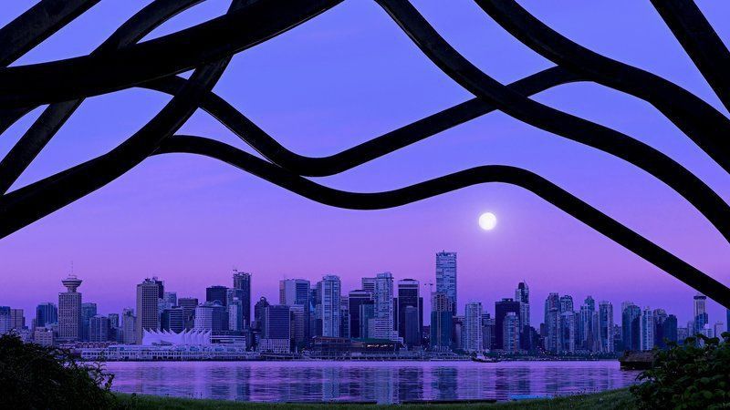 馬來西亞羅漢魚適合養嗎