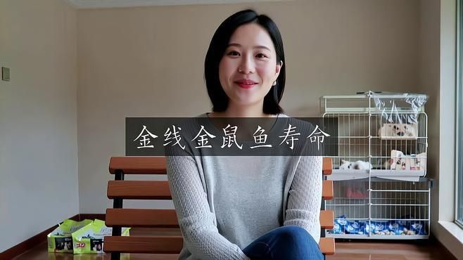 老鼠魚的壽命一般多長時間 老鼠魚的壽命一般多長時間 龍魚百科 第2張