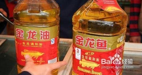 如何區分金龍魚真假鑒別：如何區分金龍魚的真假