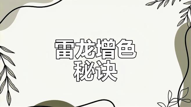 雷龍魚發(fā)色期需要喂什么？