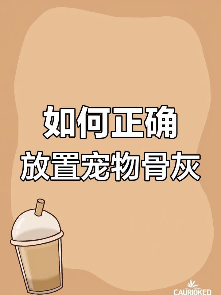 六角龍遺體深埋的具體步驟