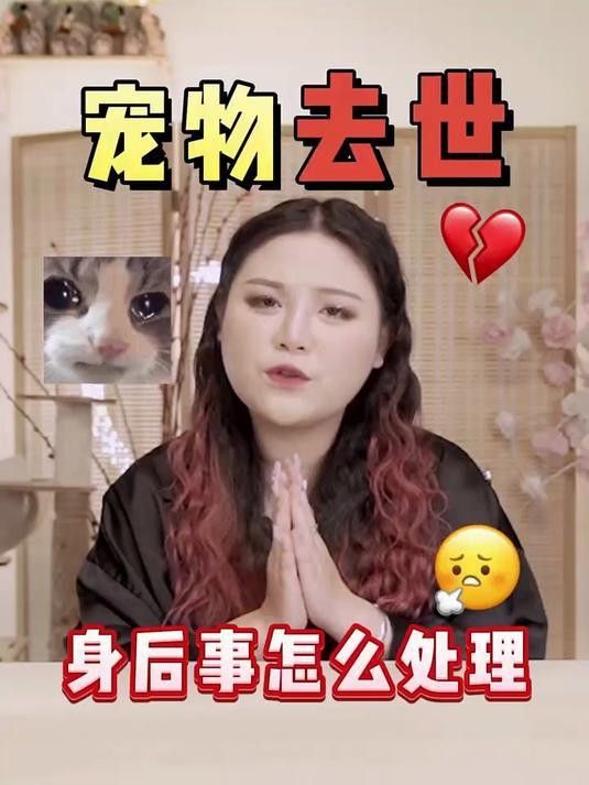 六角龍遺體深埋的具體步驟