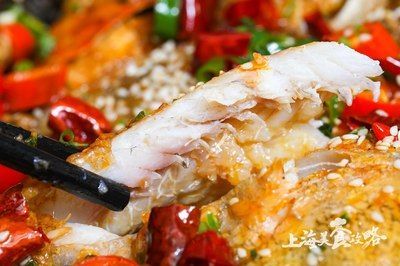 朋友圈發龍魚怎么說，龍魚在朋友圈的分享