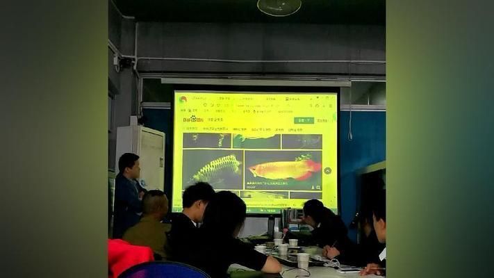 龍魚知識講座：關于龍魚養殖的全面知識