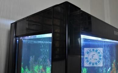龍魚缸底過濾改進的方法（優化濾材放置順序）