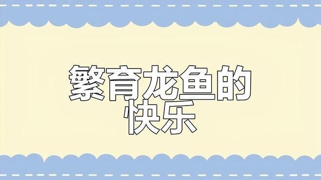詳細介紹一下紅龍魚的人工繁殖技術