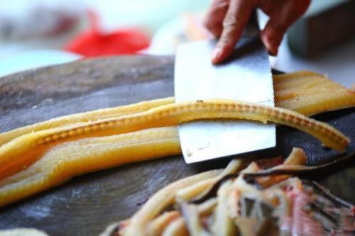 杜龍魚是什么魚圖片