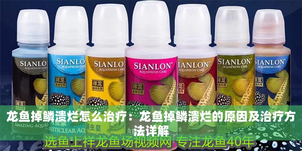 龍魚掉鱗潰爛怎么治療：龍魚掉鱗潰爛的原因及治療方法詳解