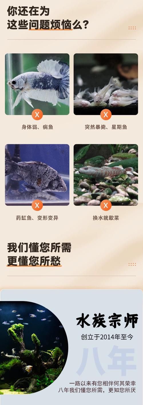 金龍魚和清道夫能混養嗎圖片 金龍魚和清道夫能混養嗎圖片 龍魚百科 第21張